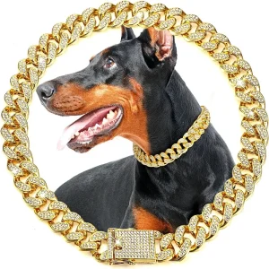 Dog Chain Collar Luxury Gold Pet Metal Chain Collar